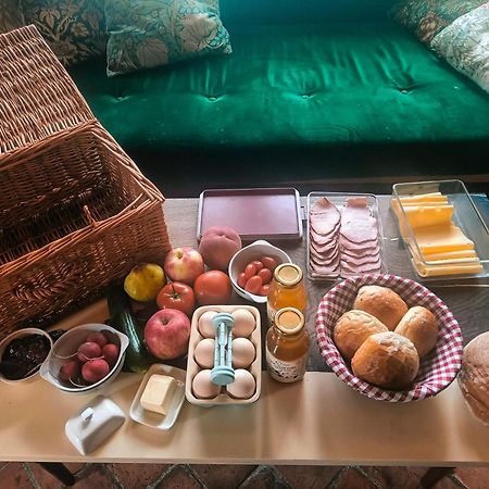 Jurty Z Widokiem, Prywatna Balia- Dzikolas Glamping Krasnobród Kültér fotó