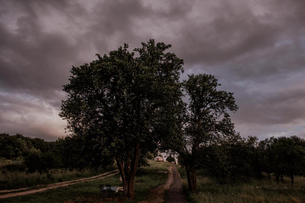 Jurty Z Widokiem, Prywatna Balia- Dzikolas Glamping Krasnobród Kültér fotó