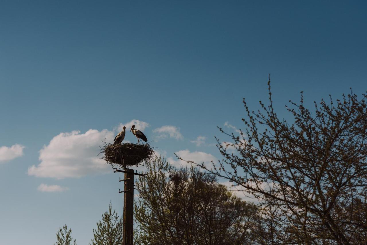 Jurty Z Widokiem, Prywatna Balia- Dzikolas Glamping Krasnobród Kültér fotó